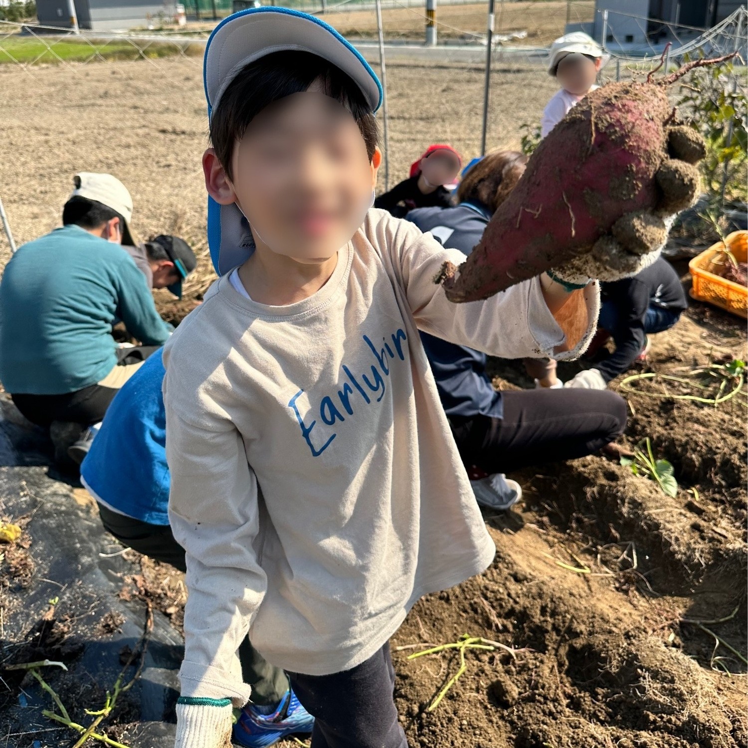 サムネイル画像