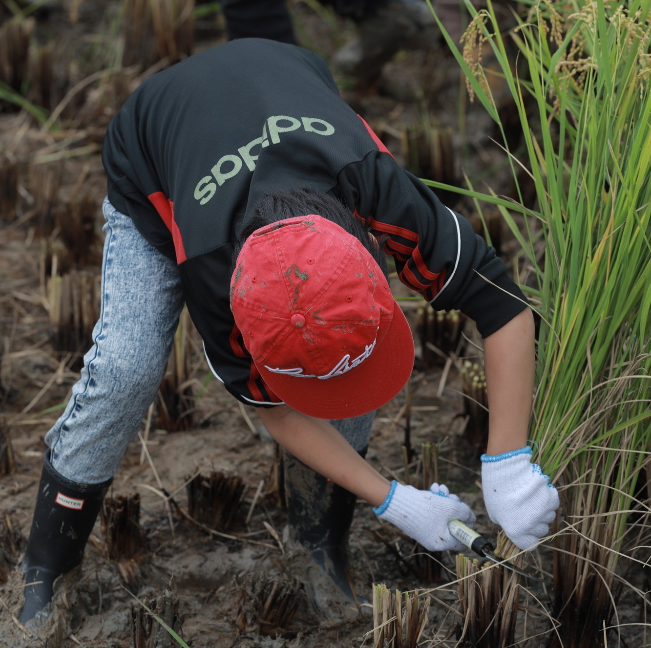 サムネイル画像
